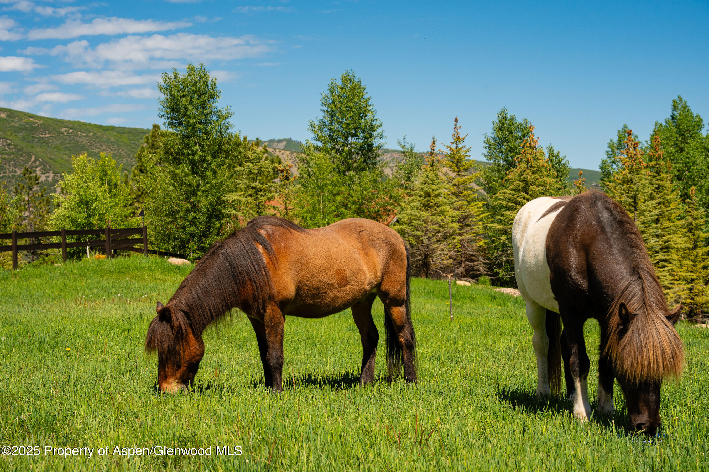 26 Bunker Loop Aspen, CO 81612 - Photo 98 of 103 26BunkerLp_DASH164