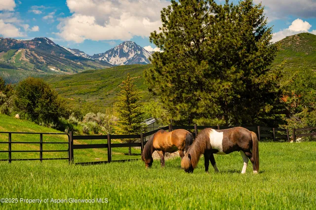 $11,500,000 | 26 Bunker Loop, Aspen, CO 81612
