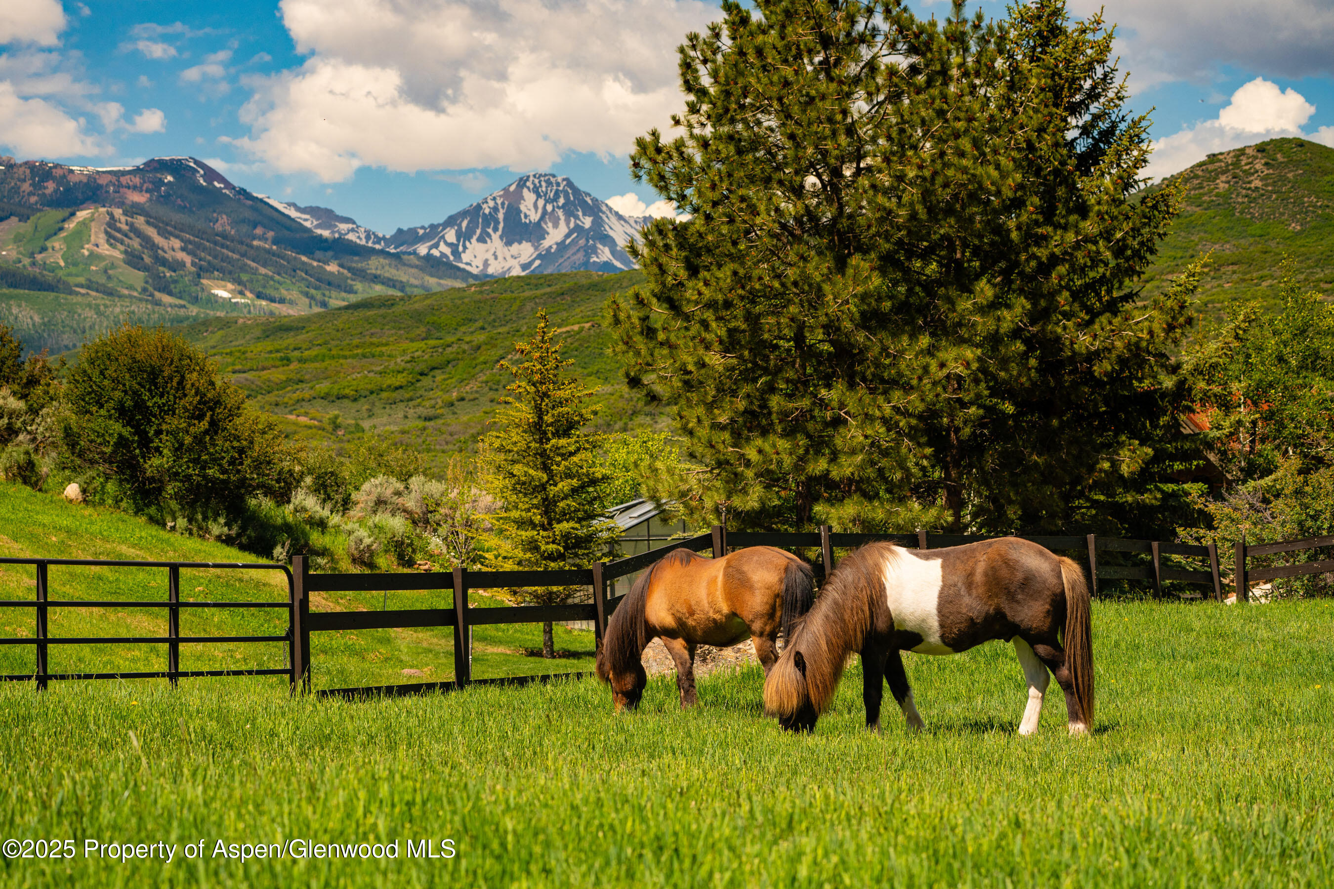 26 Bunker Loop Aspen, CO 81612 - Photo 99 of 103
