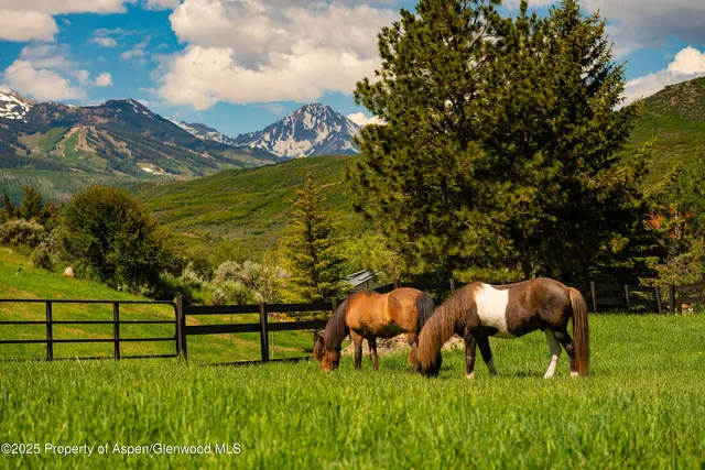 $11,500,000 | 26 Bunker Loop, Aspen, CO 81612