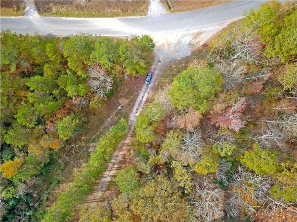 702 Liner Road Tallapoosa, GA 30176 - Photo 11 of 14 a view of a yard