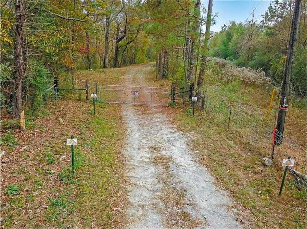 702 Liner Road Tallapoosa, GA 30176 - Photo 12 of 14 a view of outdoor space and trees