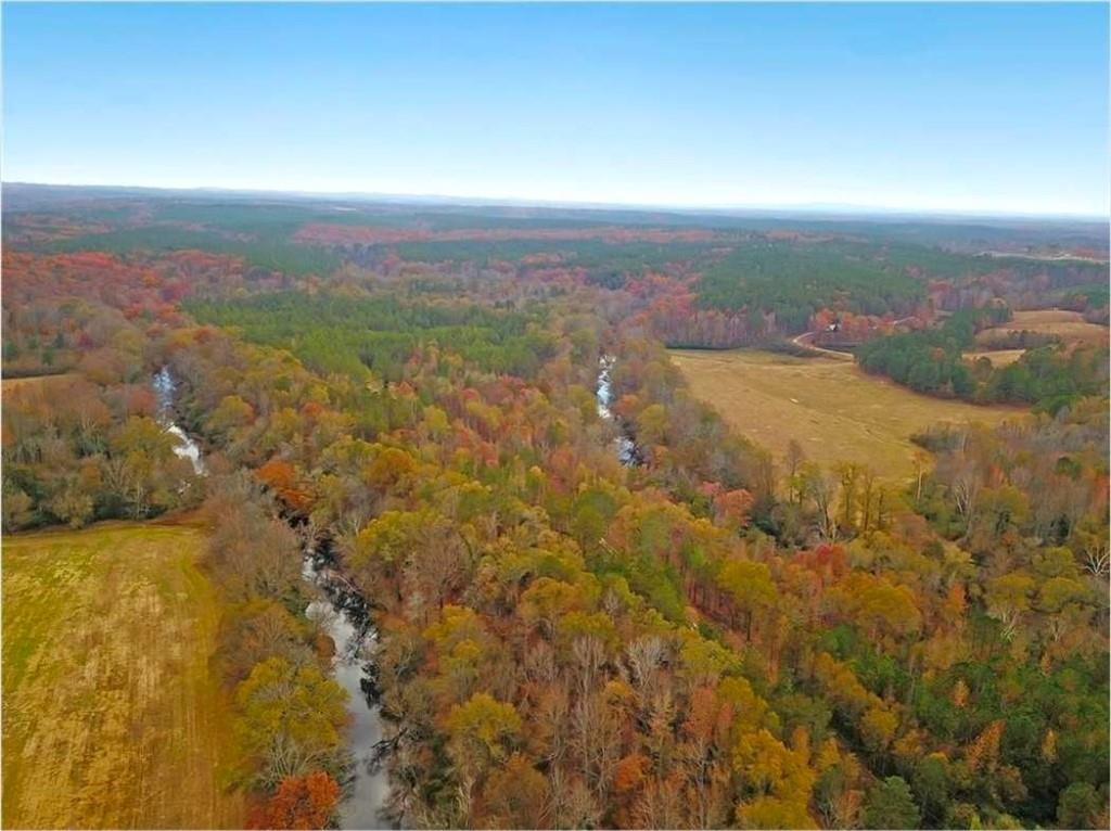702 Liner Road Tallapoosa, GA 30176 - Photo 2 of 14 an aerial view of residential houses with outdoor space