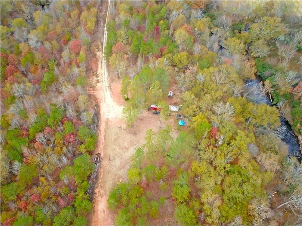 702 Liner Road Tallapoosa, GA 30176 - Photo 3 of 14 a view of a flowers in a garden