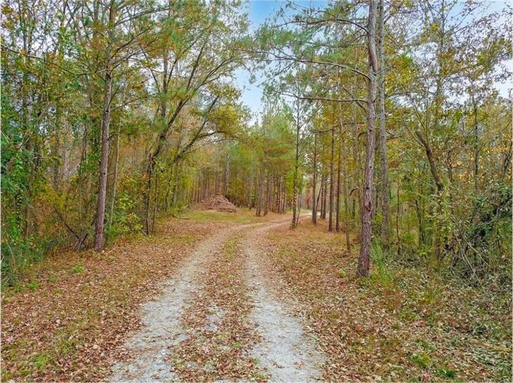 702 Liner Road Tallapoosa, GA 30176 - Photo 6 of 14 a view of backyard with green space