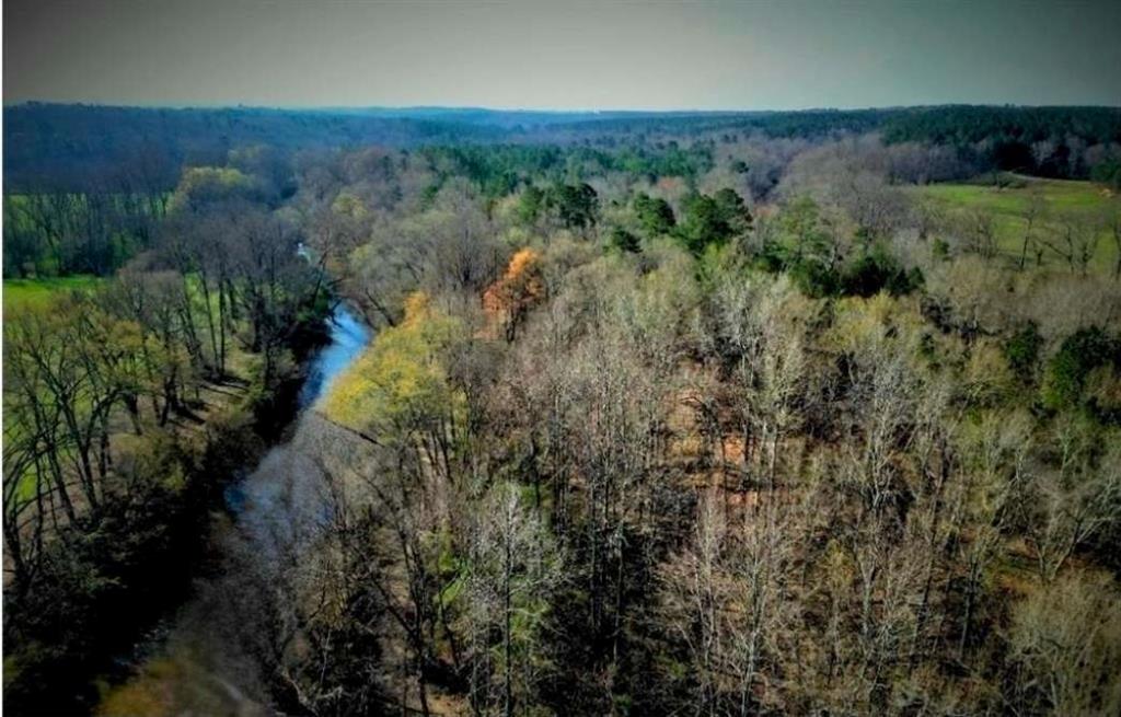 702 Liner Road Tallapoosa, GA 30176 - Photo 8 of 14 an aerial view of residential house with outdoor space