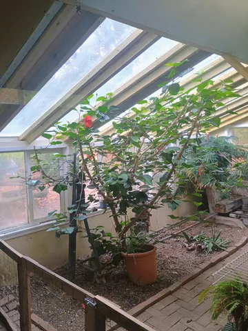 $229,900 | 14985 157th Avenue, Big Rapids, MI 49307