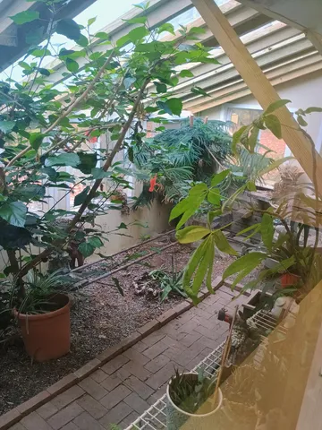 $199,900 | 14985 157th Avenue, Big Rapids, MI 49307