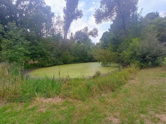 $229,900 | 14985 157th Avenue, Big Rapids, MI 49307