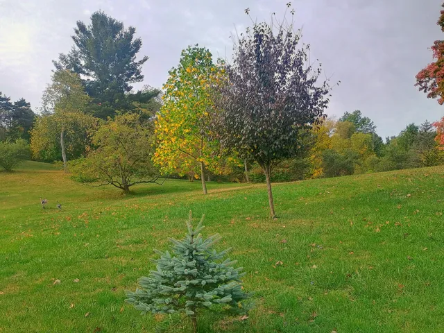 $229,900 | 14985 157th Avenue, Big Rapids, MI 49307