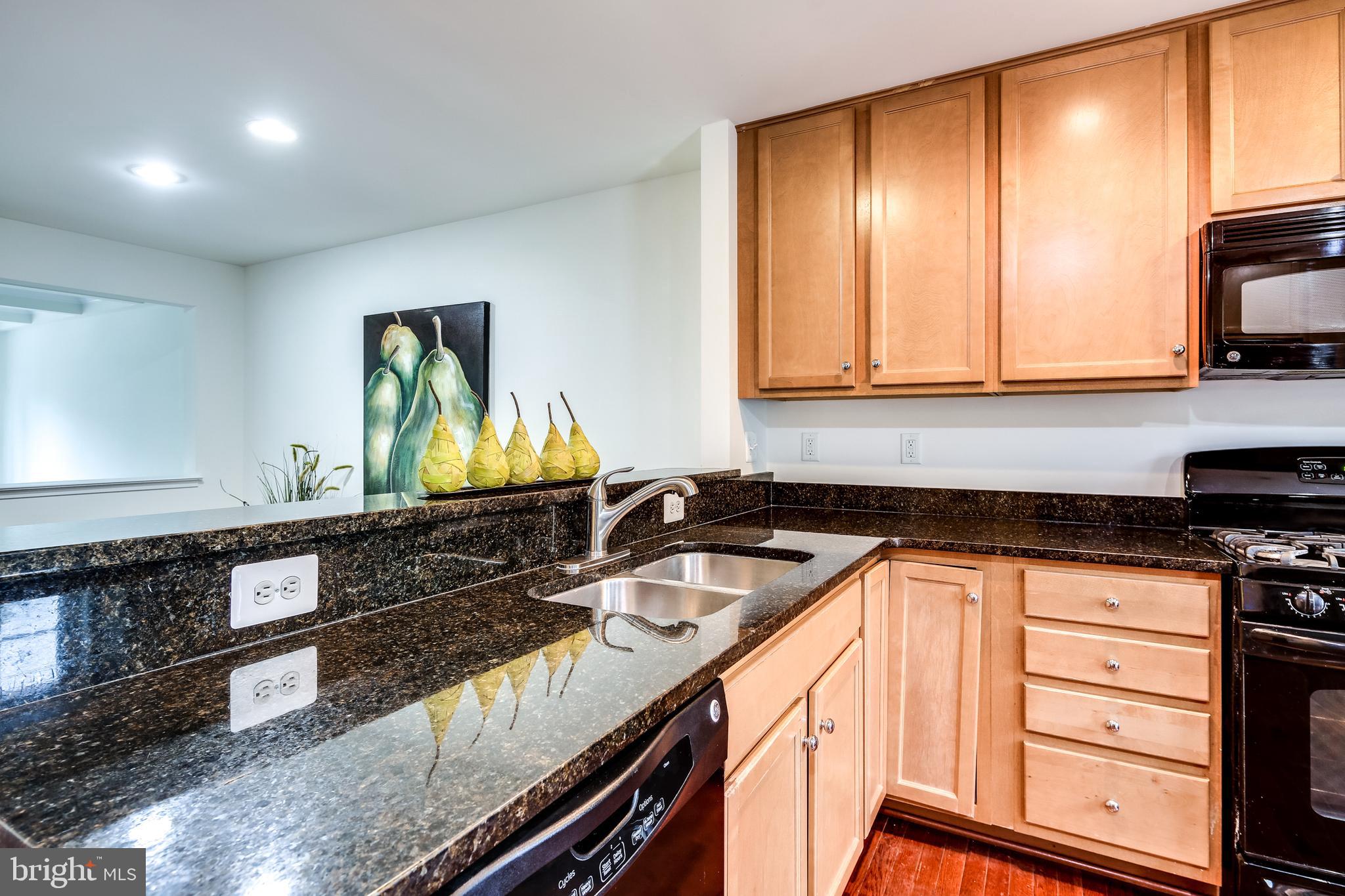 3419 Snow Cloud Lane Silver Spring, MD 20904 - Photo 13 of 27