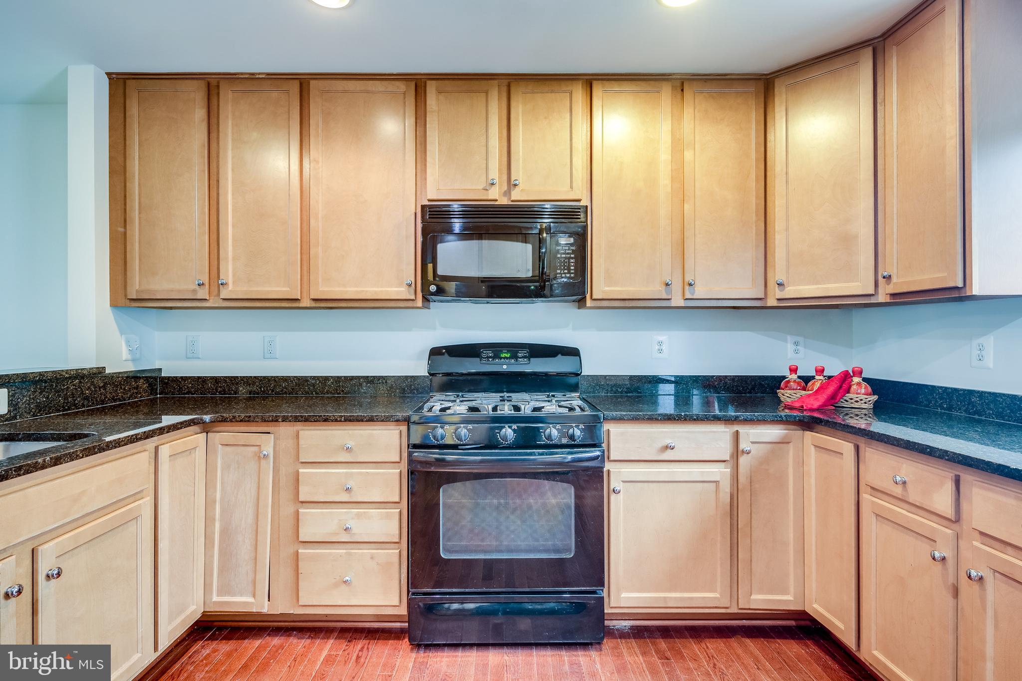 3419 Snow Cloud Lane Silver Spring, MD 20904 - Photo 14 of 27
