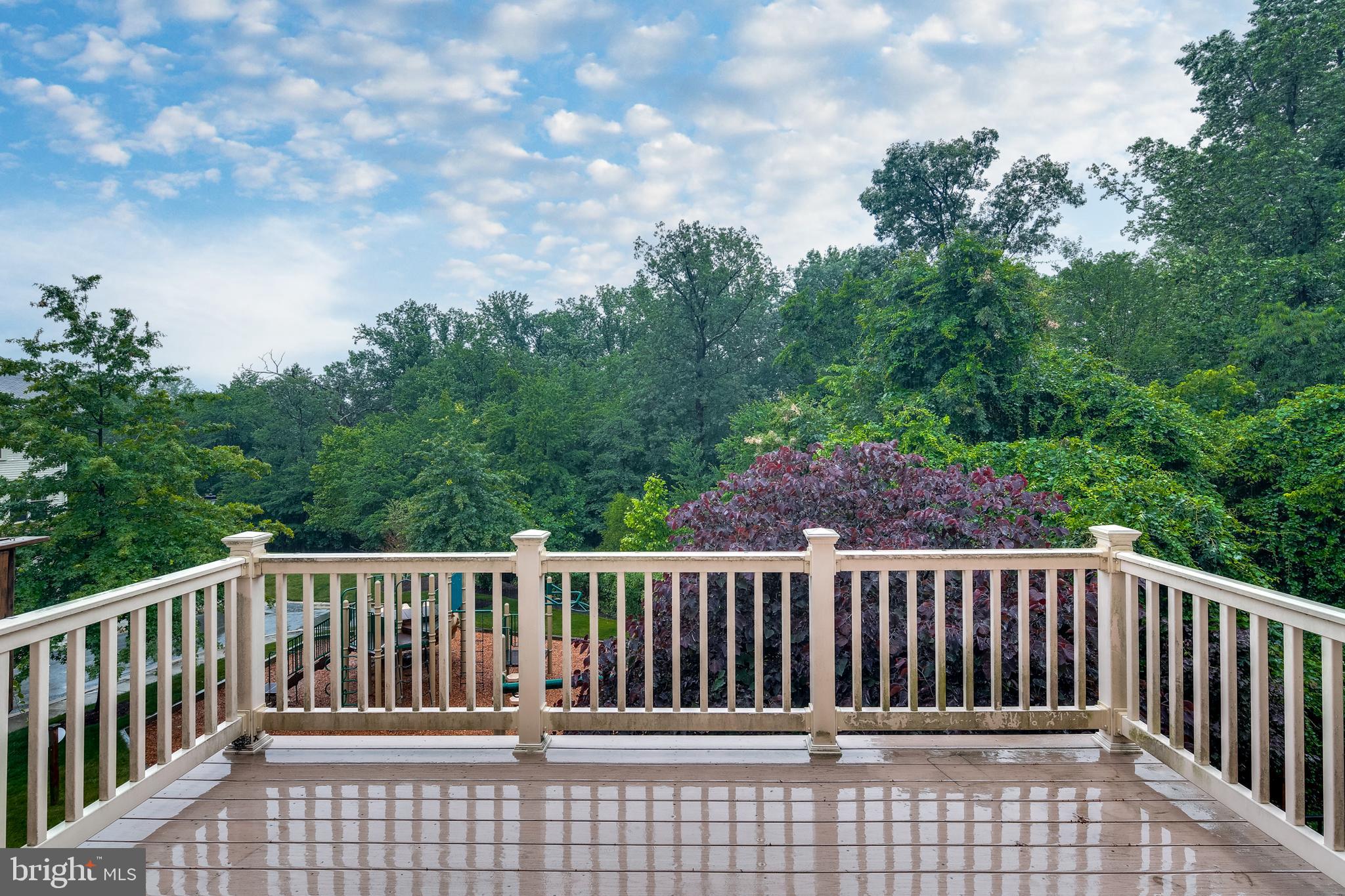 3419 Snow Cloud Lane Silver Spring, MD 20904 - Photo 16 of 27