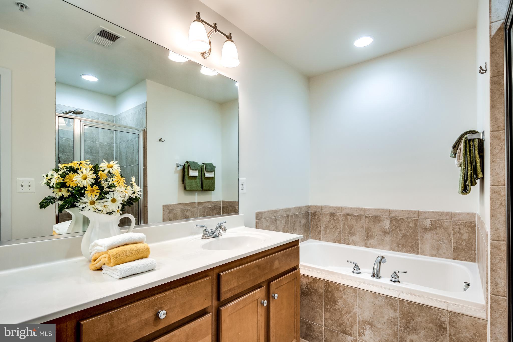 3419 Snow Cloud Lane Silver Spring, MD 20904 - Photo 20 of 27