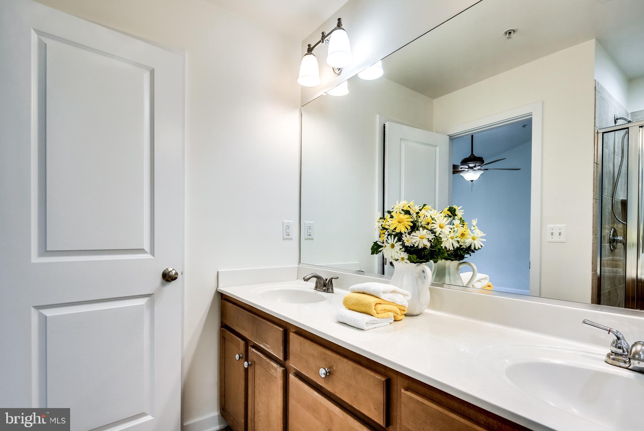 3419 Snow Cloud Lane Silver Spring, MD 20904 - Photo 21 of 27
