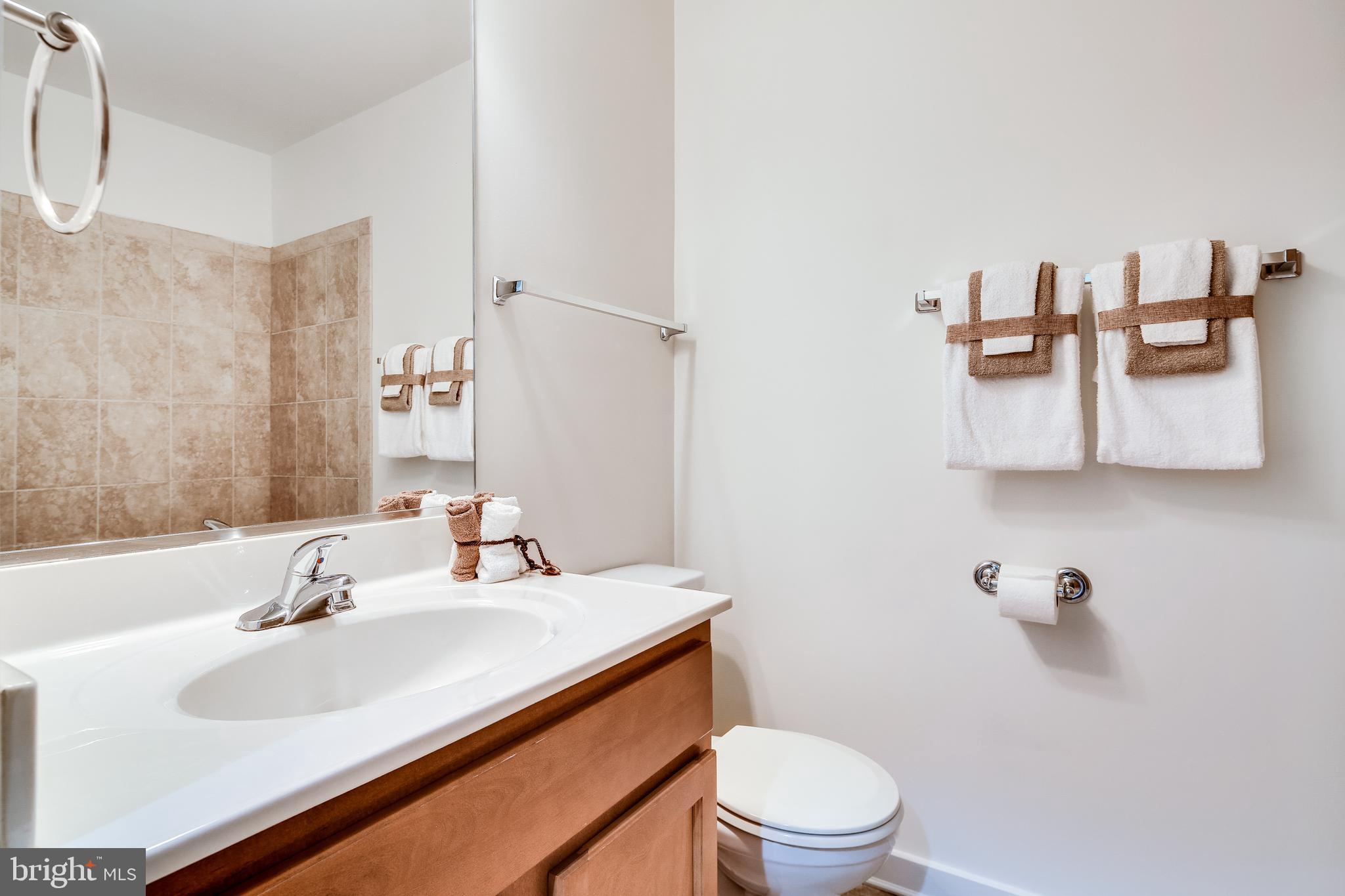 3419 Snow Cloud Lane Silver Spring, MD 20904 - Photo 26 of 27