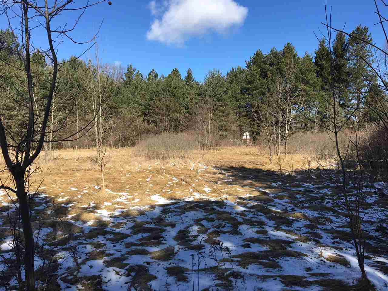 Parcel A North Byron Road Lennon, MI 48449 - Photo 13 of 22