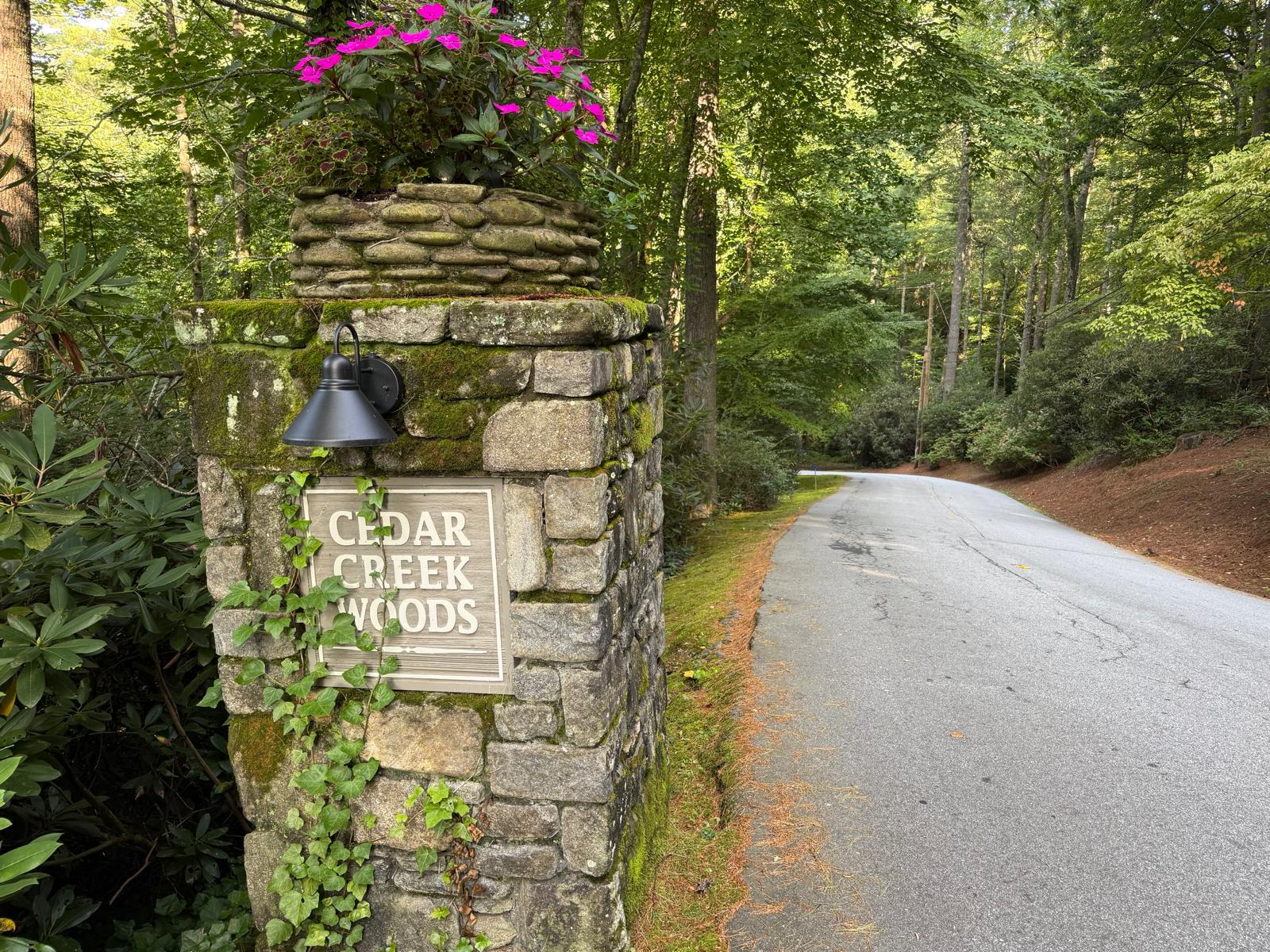 24 Wandering Ridge Cashiers, NC 28717 - Photo 23 of 30 Gallery Image 23