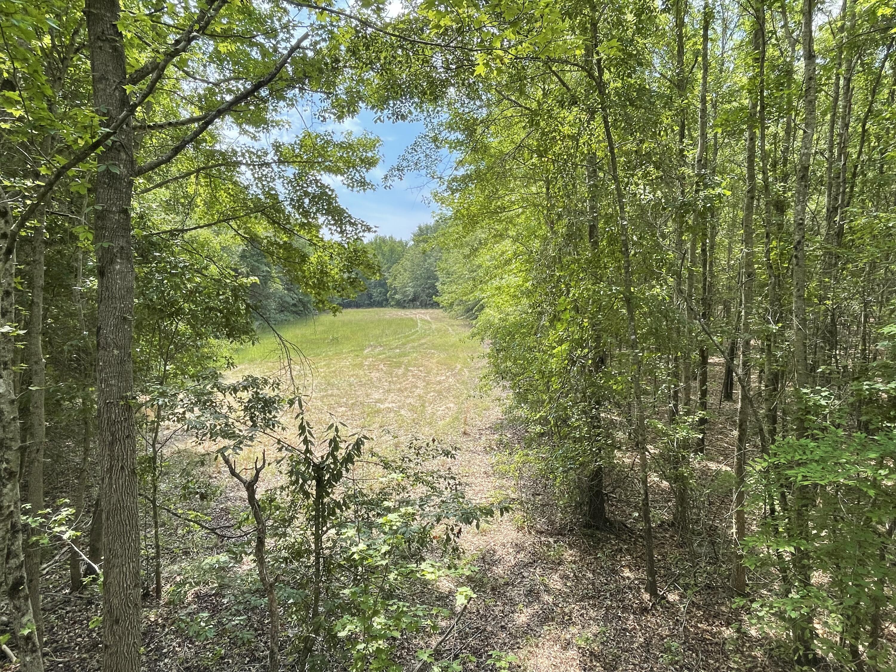 3992 Neeses Highway Springfield, SC 29146 - Photo 1 of 9 Hunting Field