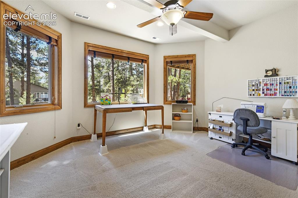 18090 Bakers Farm Road Colorado Springs, CO 80908 - Photo 29 of 46