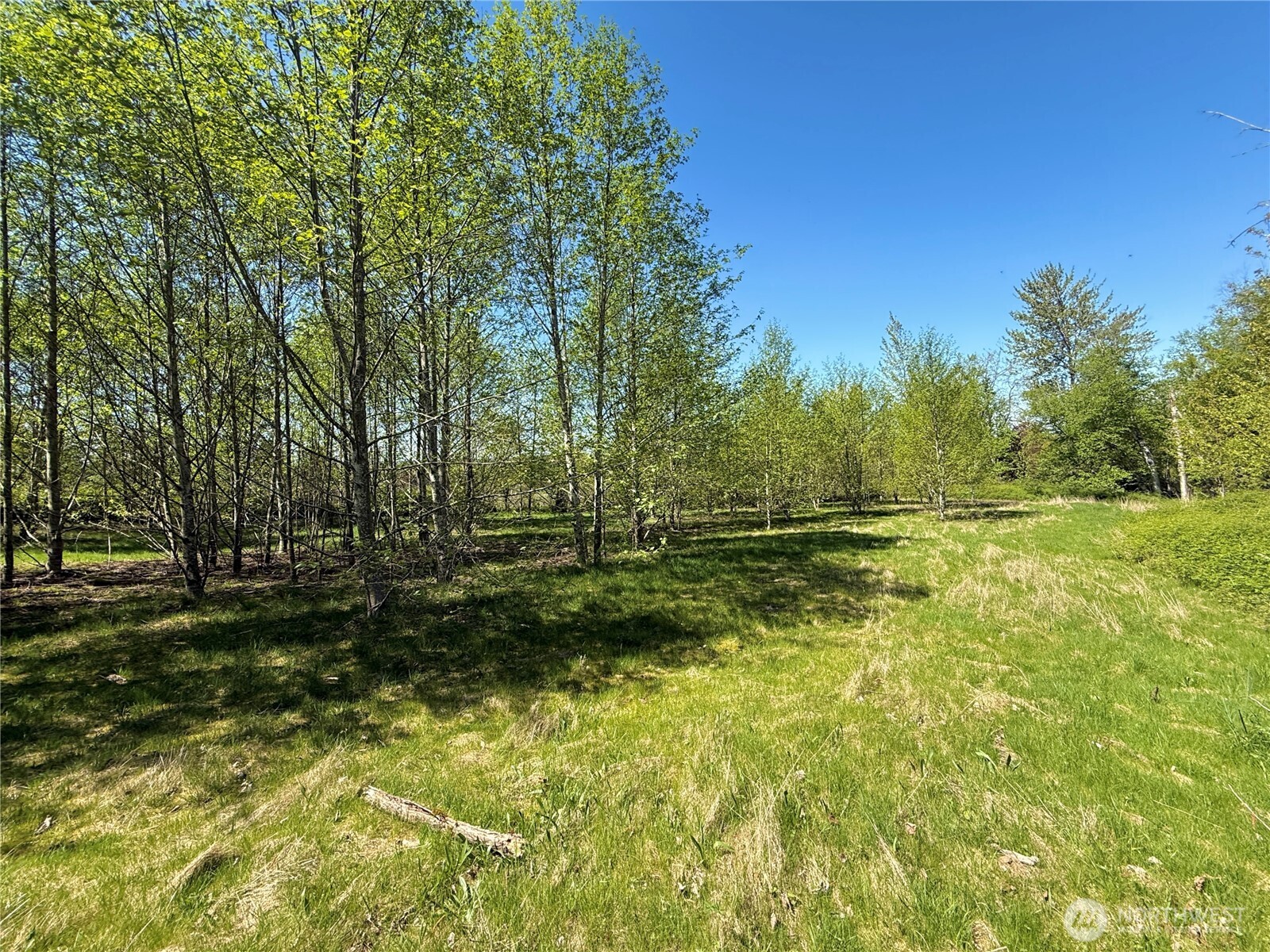3809 Cabrant Road Everson, WA 98247 - Photo 35 of 40