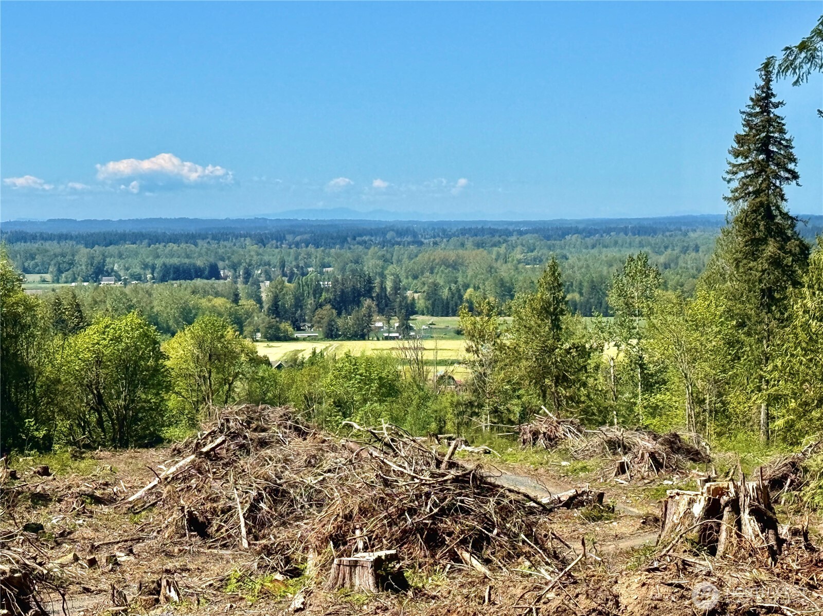 3809 Cabrant Road Everson, WA 98247 - Photo 37 of 40