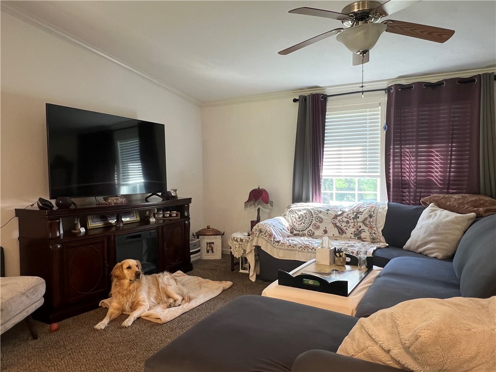 439 Simkin Road Chemung, NY 14901 - Photo 9 of 23