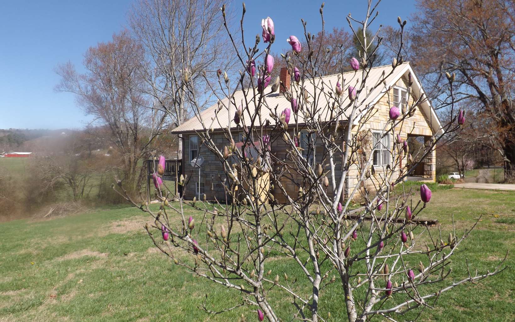 26 W Road Warne, NC 28909 - Photo 10 of 22 Additional View