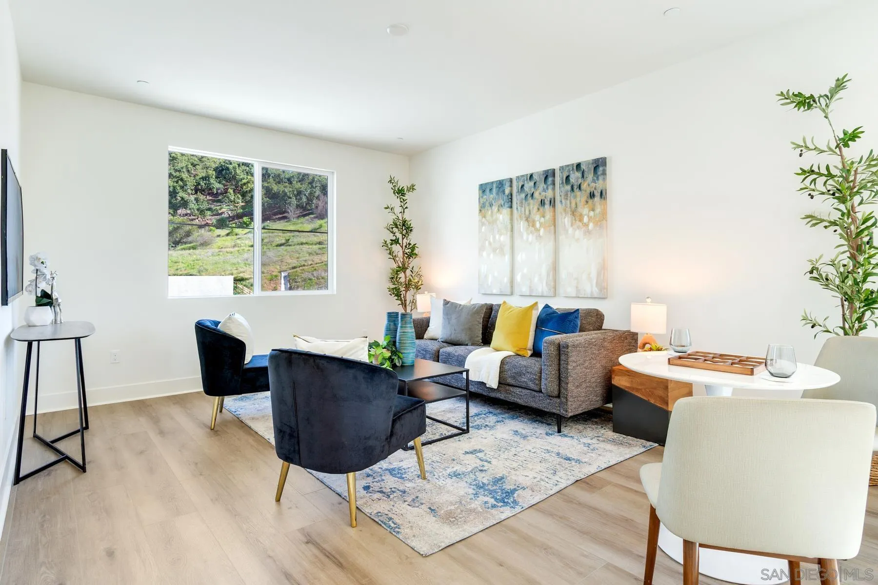 684 Meadowood Street Fallbrook, CA 92028 - Photo 12 of 25