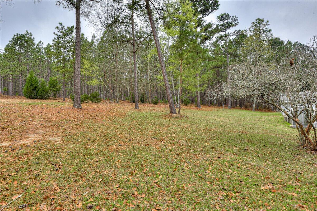 1328 Gray Mare Hollow Road Aiken, SC 29803 - Photo 25 of 31