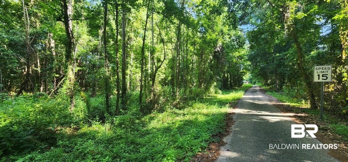 0 Smith Road Stockton, AL 36579 - Photo 3 of 5 View of road with a wooded view