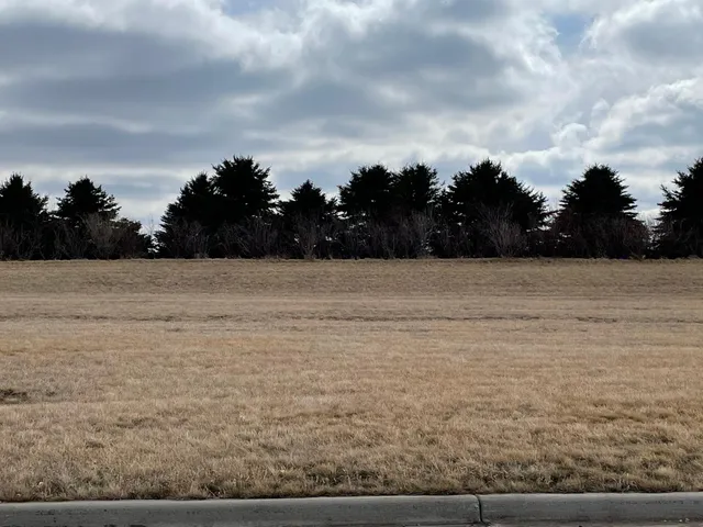 $19,238 | 541 Hillcrest Street, Edgerton, MN 56128