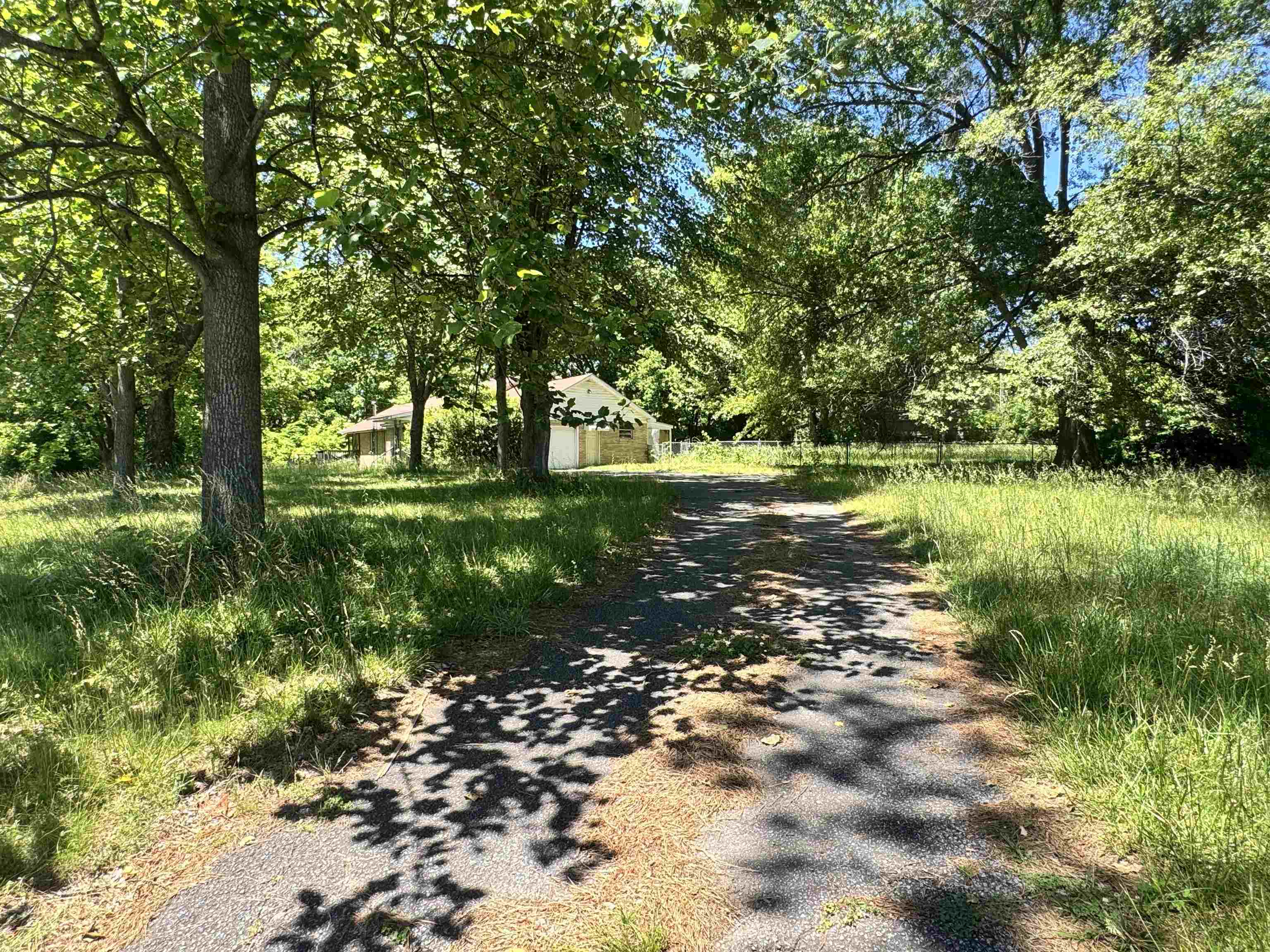 4712 Drummonds Road Drummonds, TN 38023 - Photo 13 of 38 Asphalt driveway surrounded by mature trees and natural landscaping