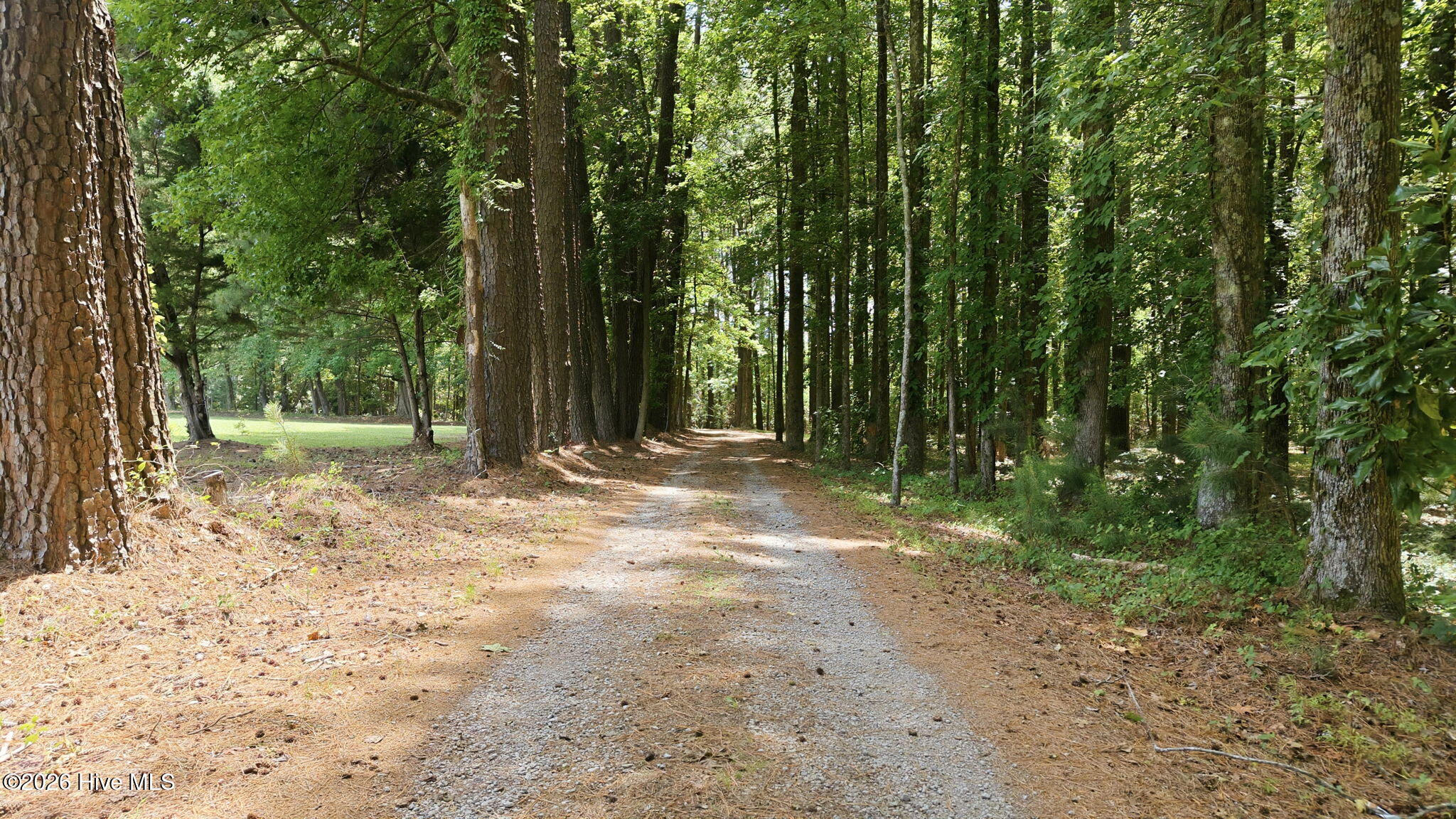 5349 A Pridgen Road Elm City, NC 27822 - Photo 4 of 67