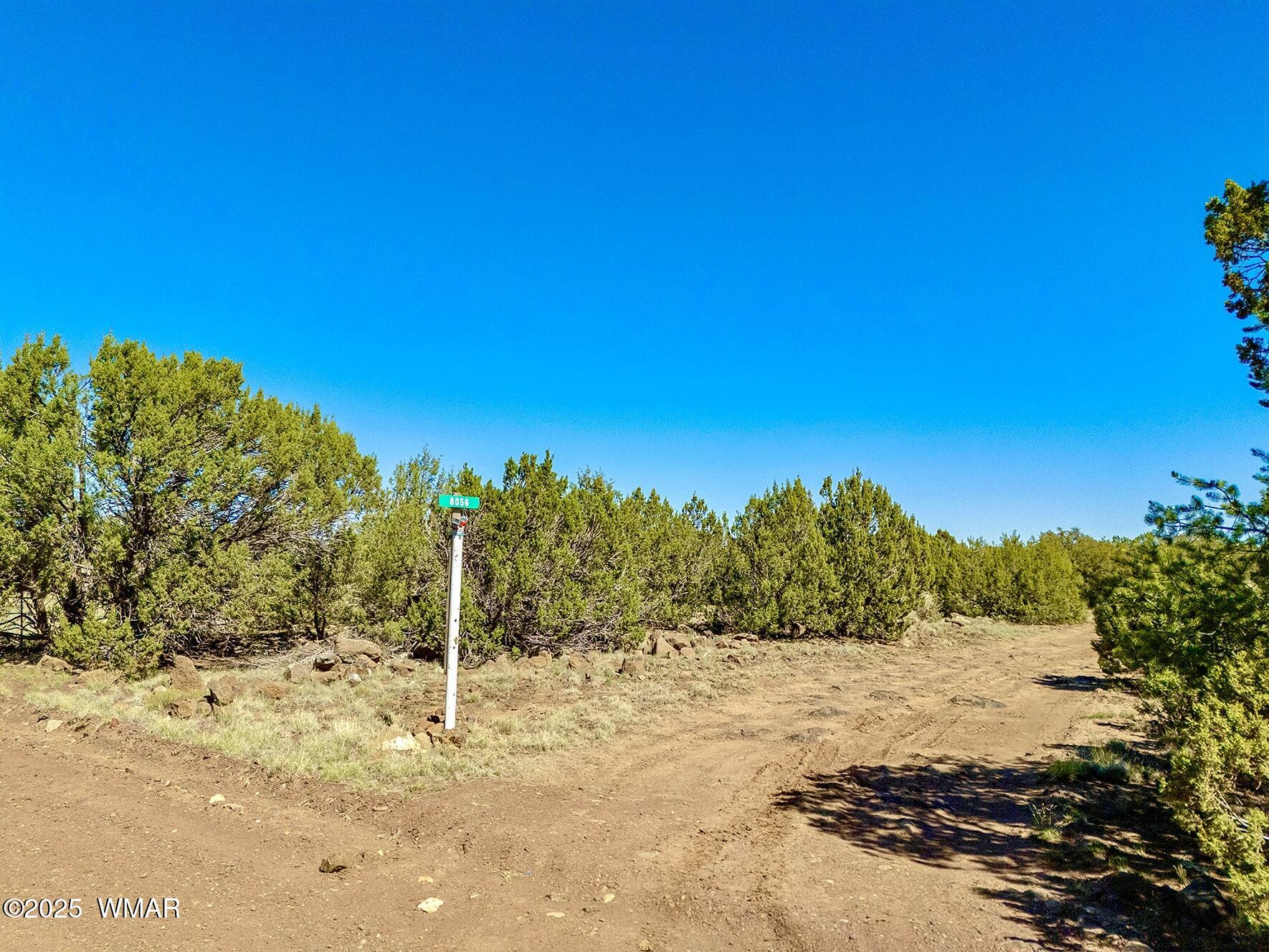 132 Co Road Concho, AZ 85924 - Photo 5 of 9 IMG_2522 (1)