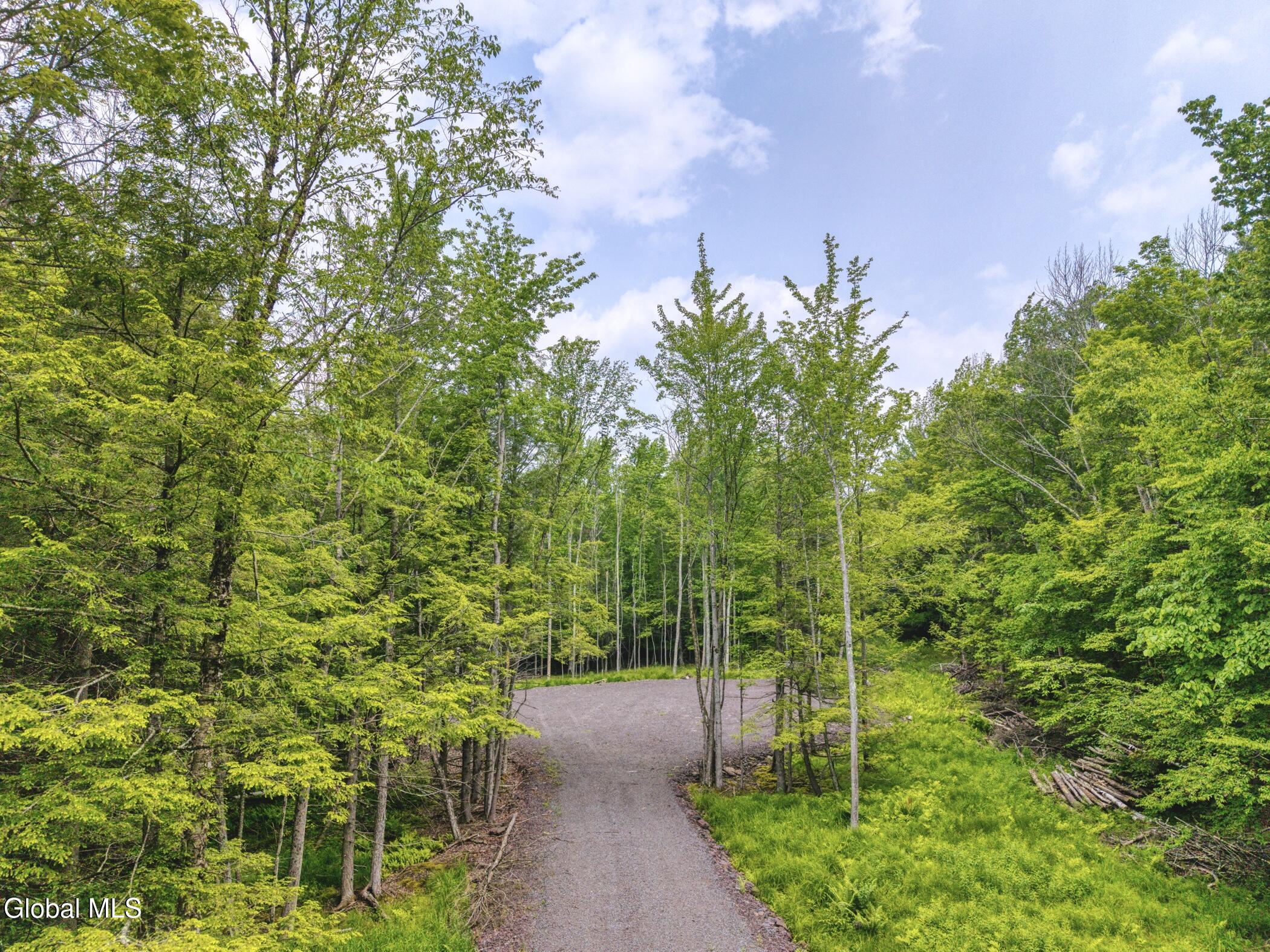 L36 Boulder Brook Road, Unit LOT # 12 Windham, NY 12496 - Photo 44 of 44 Image-76