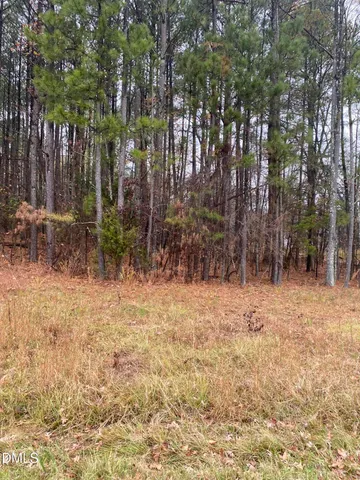 a backyard of a house with lots of trees