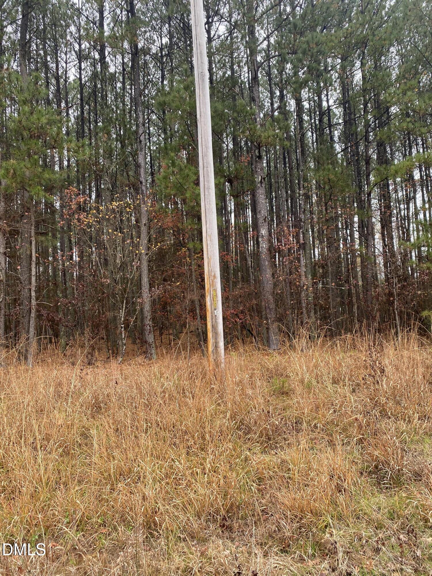 3350 Coley Road Durham, NC 27703 - Photo 3 of 4 a view of backyard with green space
