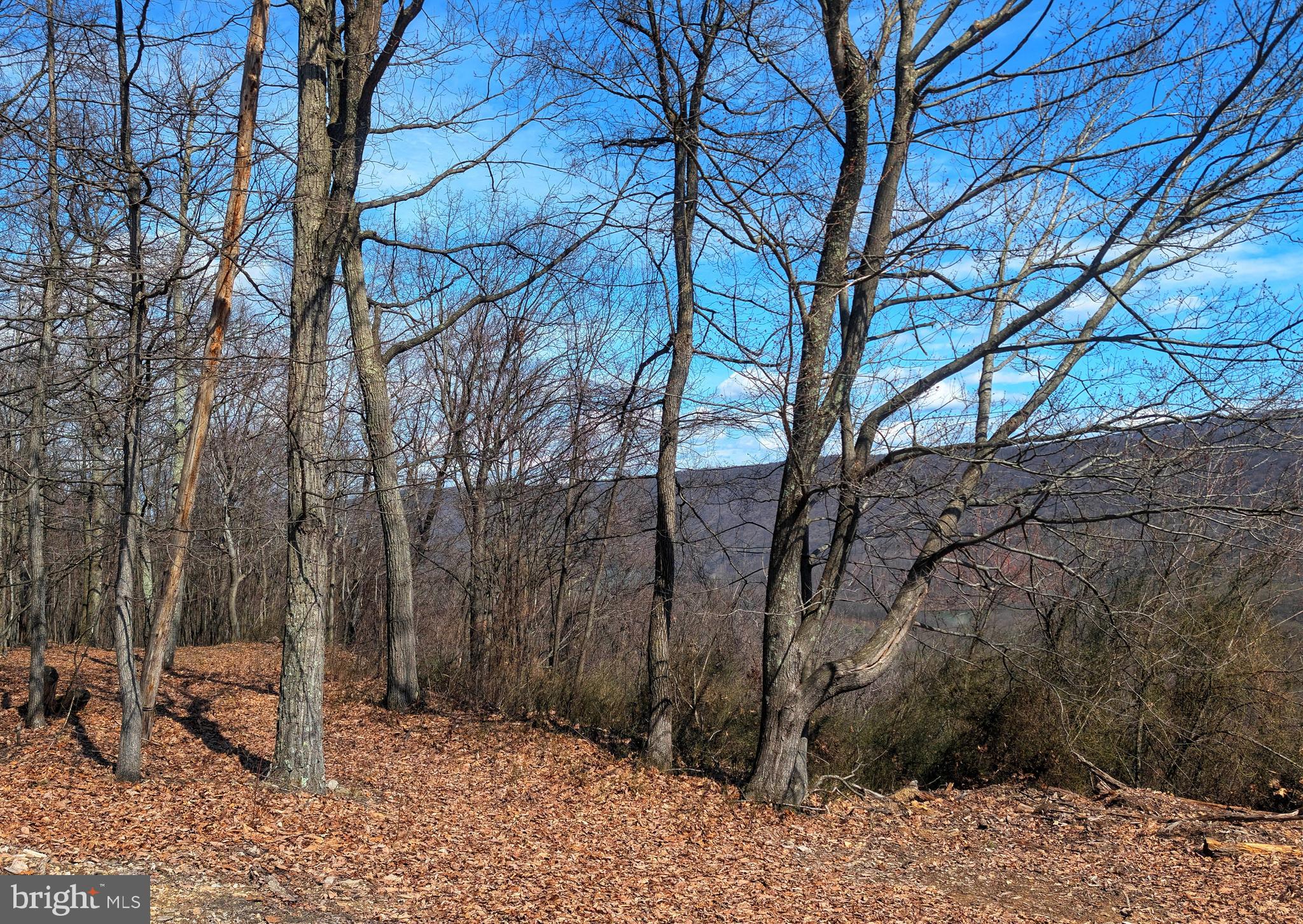 0 Pine Ridge Road James Creek, PA 16657 - Photo 17 of 23