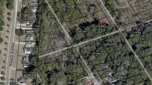 a view of a tree in a backyard of a house