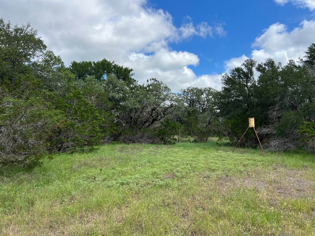 Tbd - Lot 43 A Tbd - Road, Unit 43A Blanco, TX 78606 - Photo 4 of 9 a view of a green field with lots of trees