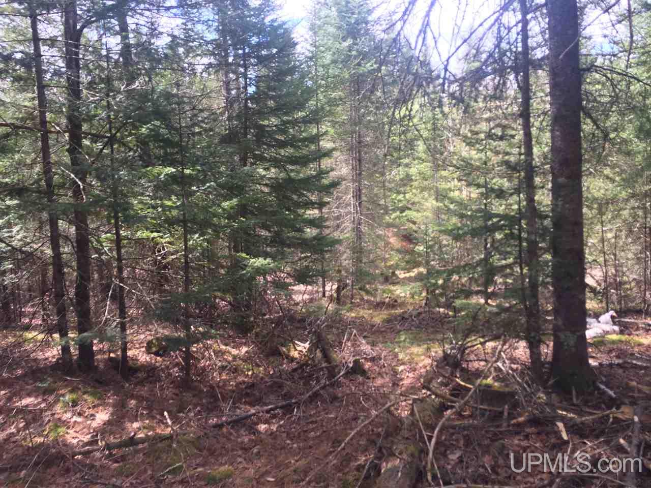 30.5 Rd Rapid River Gladstone, MI 49837 - Photo 8 of 11