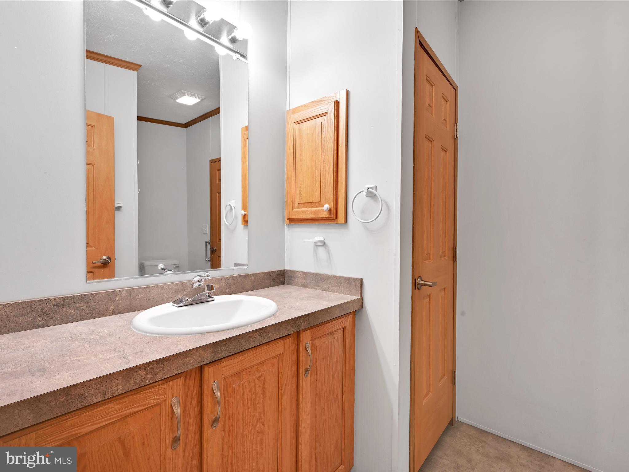 1044 Hemlock Circle Manheim, PA 17545 - Photo 19 of 31 a bathroom with a granite countertop sink and a mirror