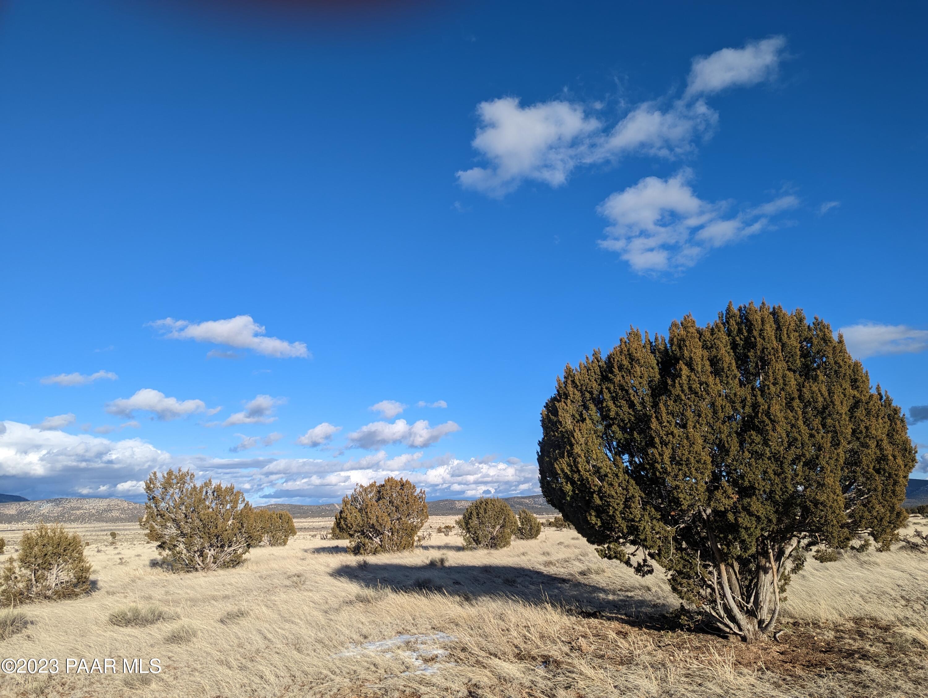 4-lots Jolly Road Seligman, AZ 86337 - Photo 3 of 11 Seligman