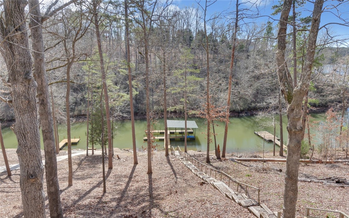 259 Capps Road Fair Play, SC 29643 - Photo 23 of 29 Gallery Image 23