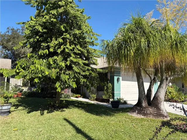 a view of a tree with a yard