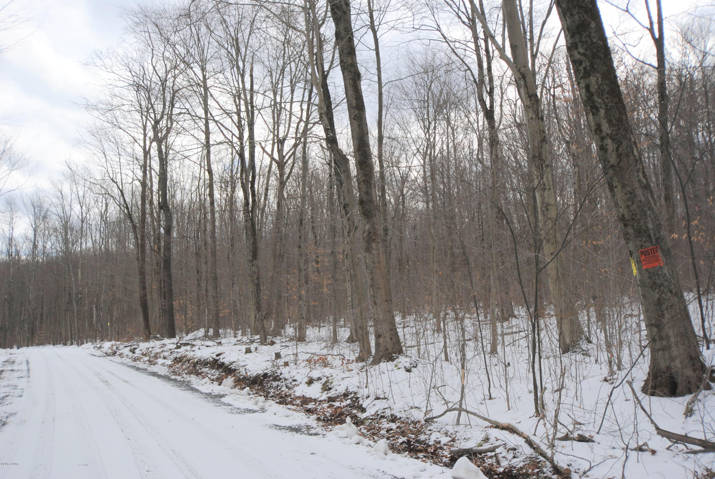 Burke Road Damascus, PA 18415 - Photo 10 of 12