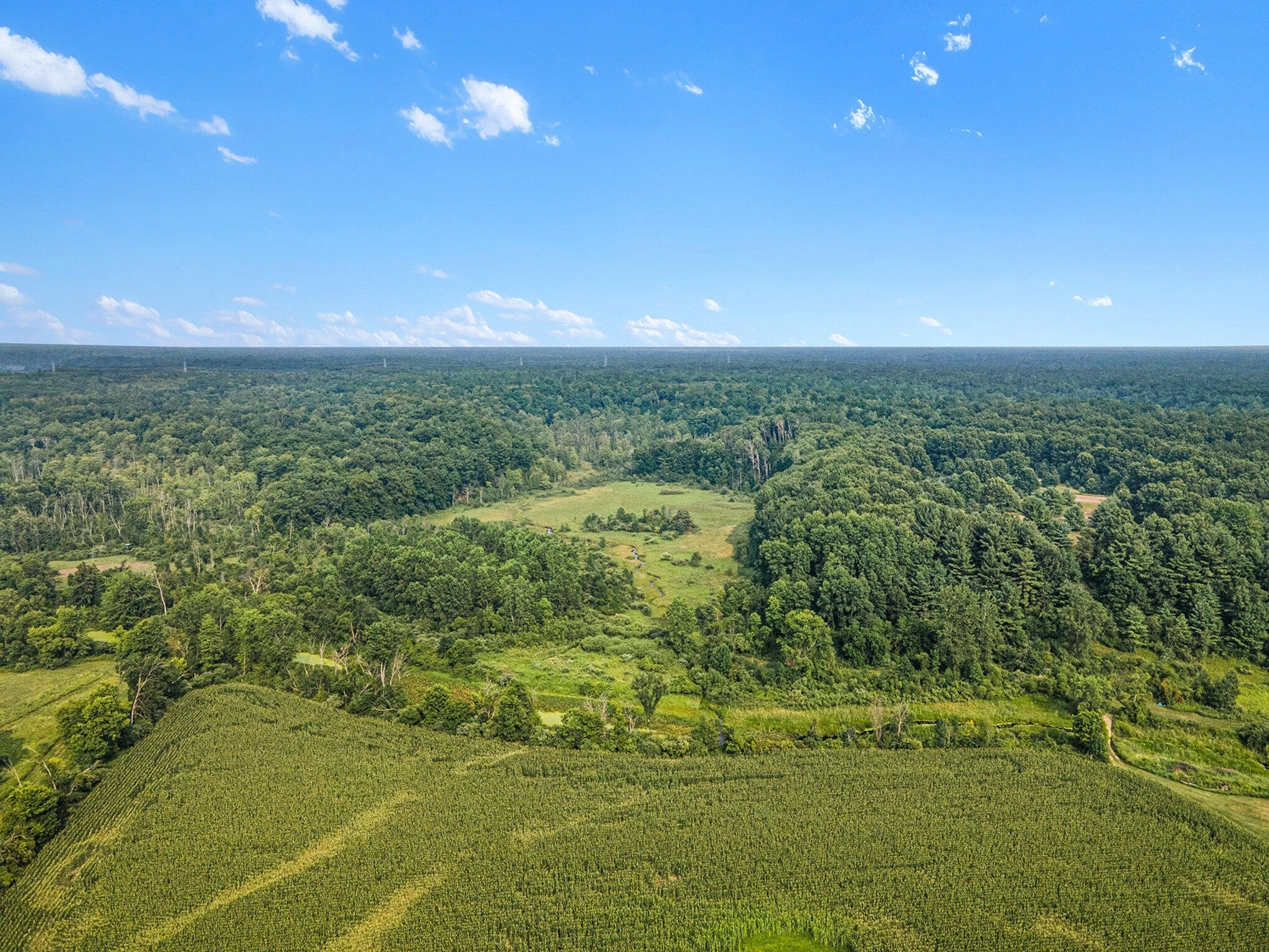 0 Maple Island Road Twin Lake, MI 49457 - Photo 7 of 12 005_file_378