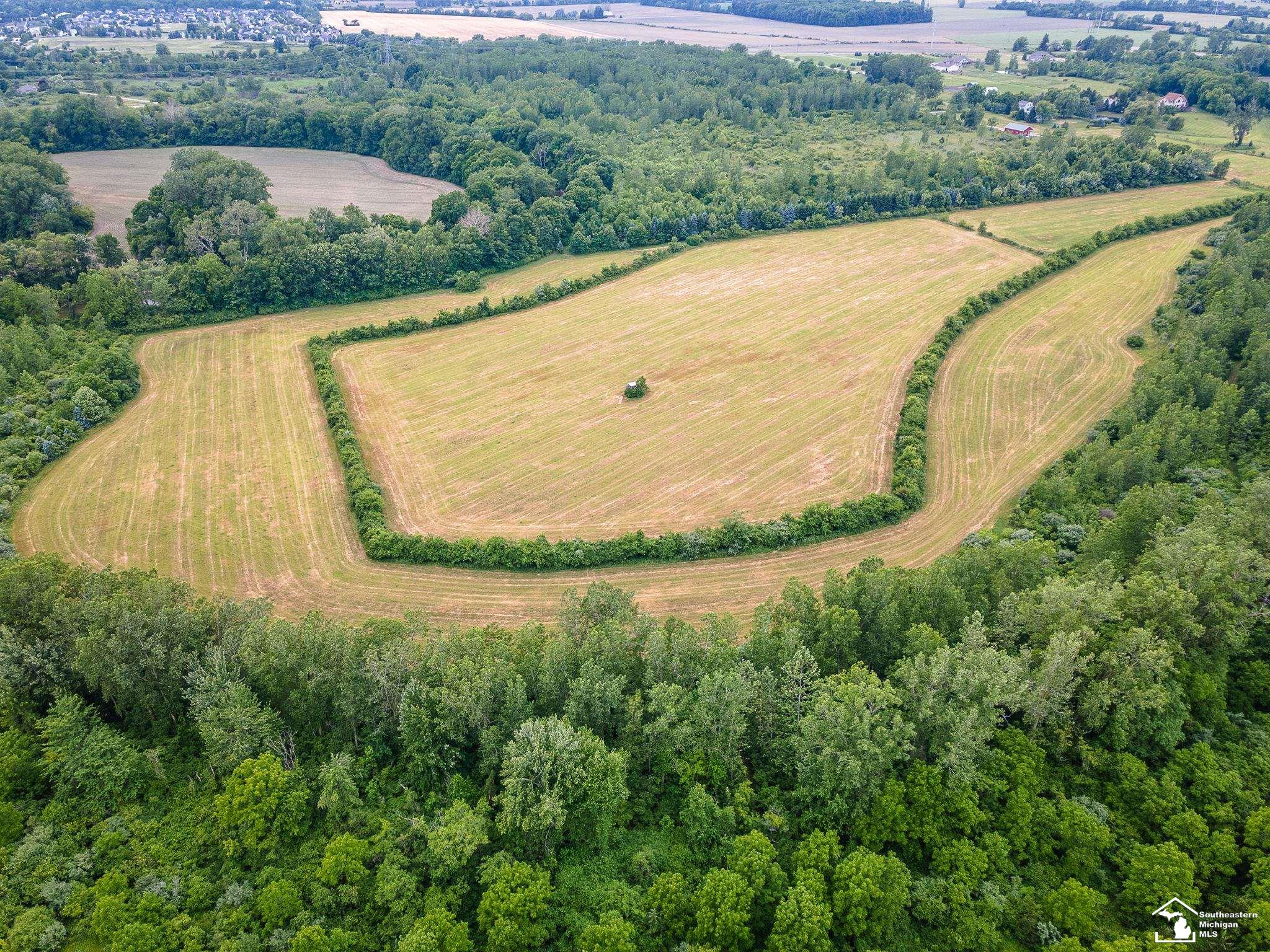 13999 Rightmire Road Dundee, MI 48131 - Photo 9 of 41