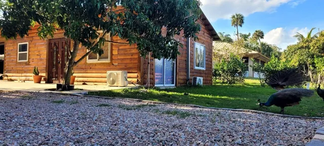 a view of a park with large trees